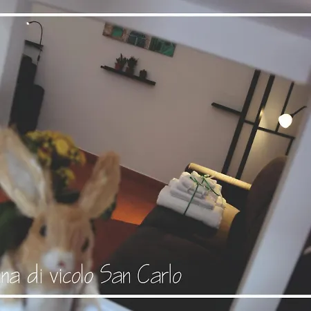 La Tana Di Vicolo San Carlo Appartement *